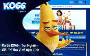 Đá Gà KO66 - Trải Nghiệm Giải Trí Thú Vị và Kịch Tính