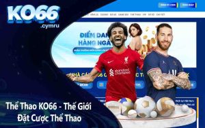 Thể Thao KO66 - Thế Giới Đặt Cược Thể Thao